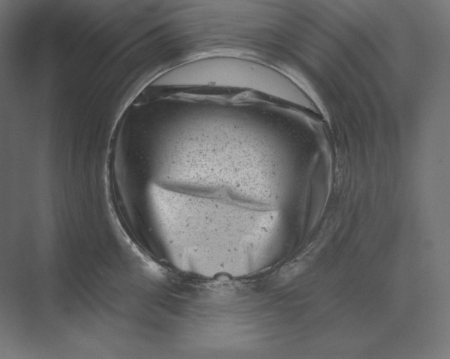 X0000074010906200609061046