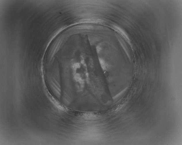 X0000074010907200609061046