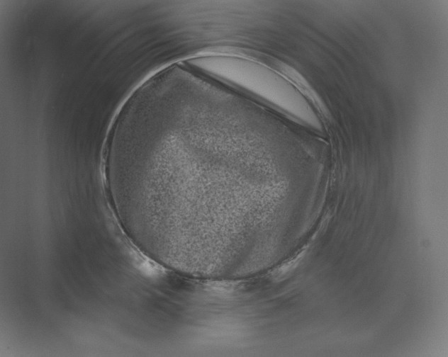 X0000074010908200609061046