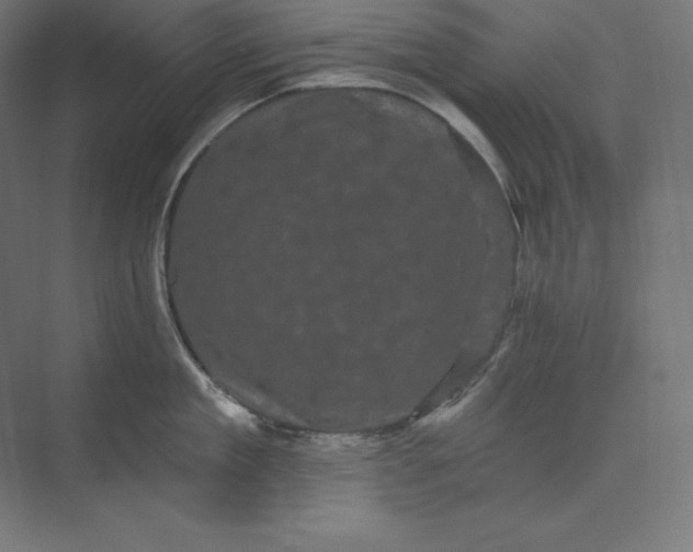 X0000074010909200609061046