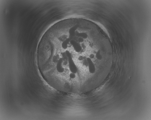 X0000074010911200609061046