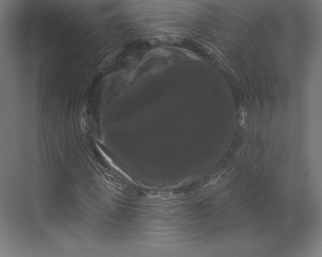 X0000074010915200609061045