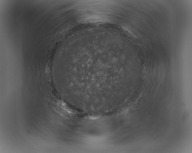 X0000074010917200609061045