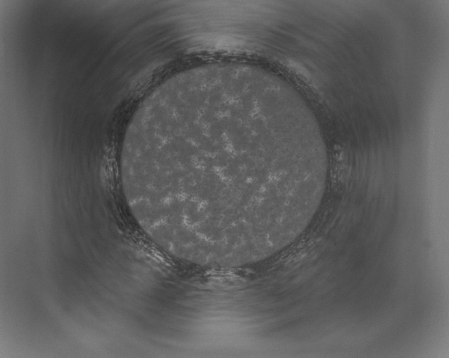 X0000074010918200609061045