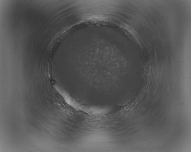 X0000074010919200609061045