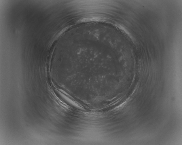 X0000074010921200609061045