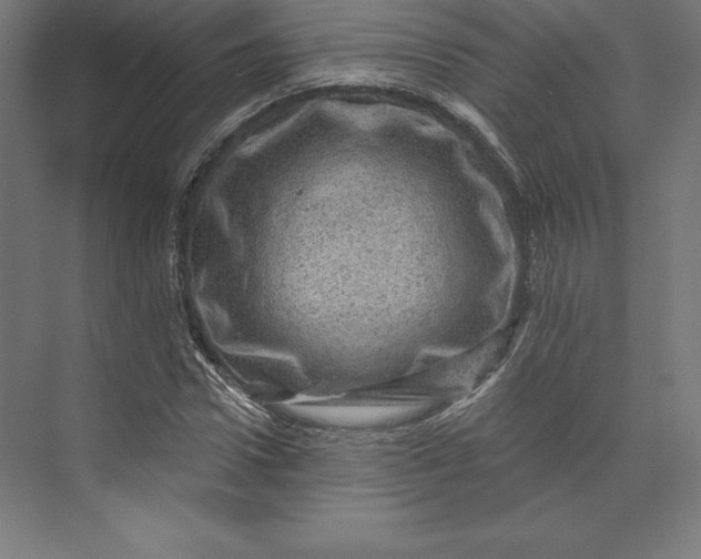 X0000074010922200609061045