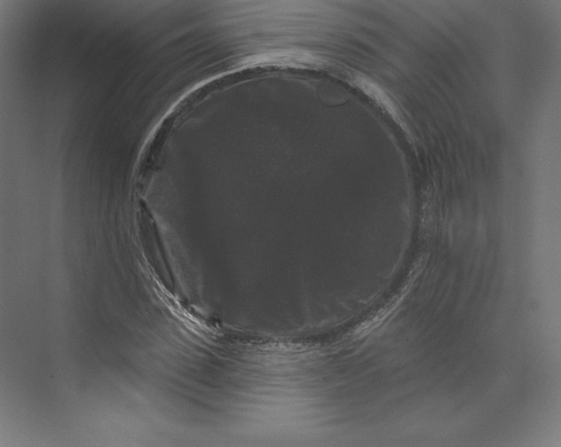 X0000074010923200609061045