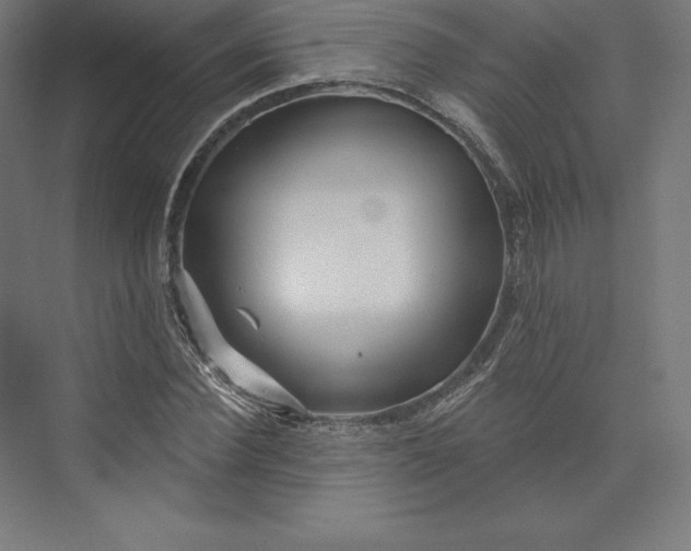 X0000074010924200609061045