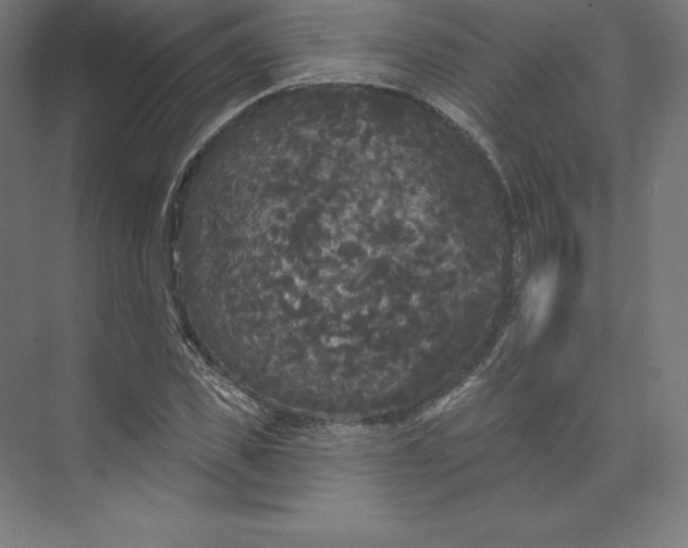 X0000074010925200609061046