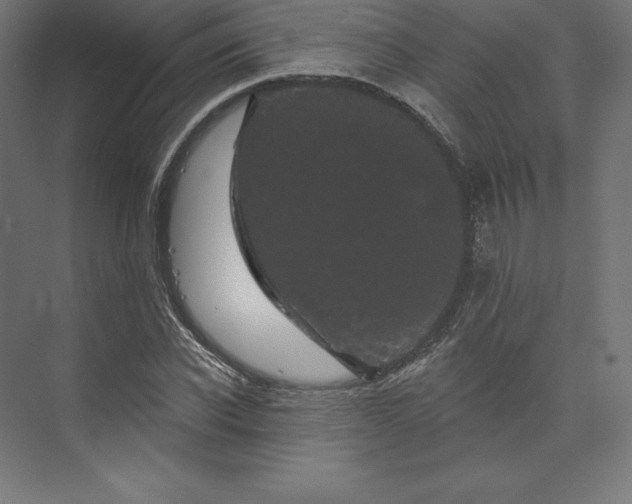 X0000074010926200609061046