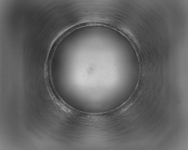 X0000074010928200609061046