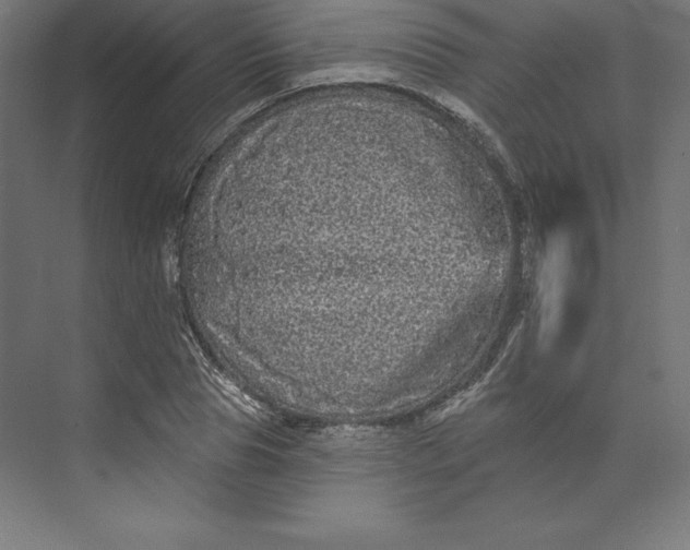 X0000074010929200609061046