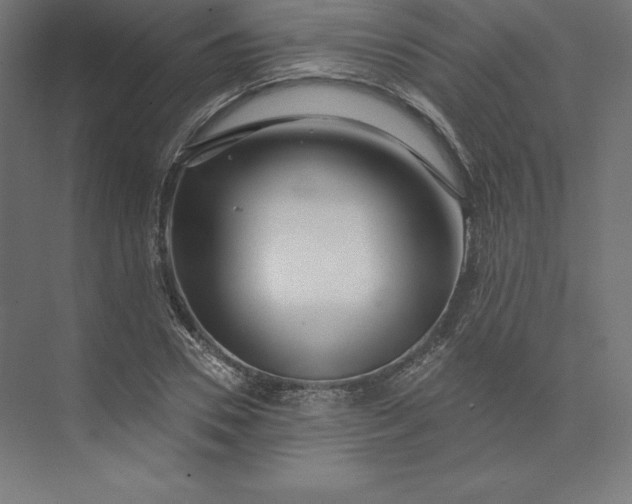 X0000074010930200609061046