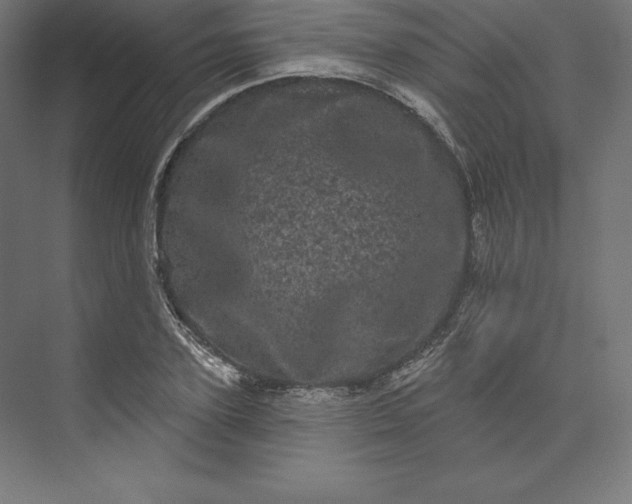 X0000074010931200609061046