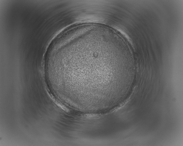 X0000074010933200609061046