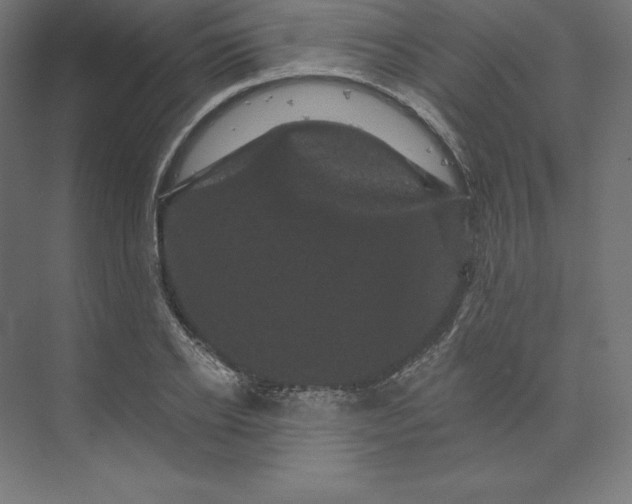 X0000074010934200609061046