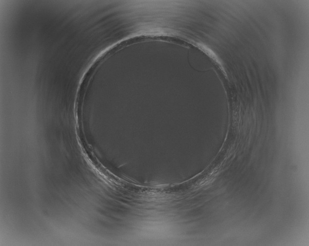 X0000074010935200609061046