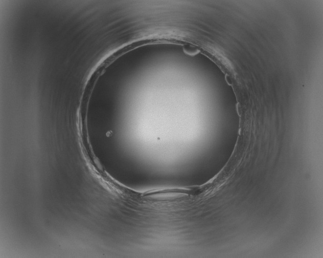 X0000074010936200609061046