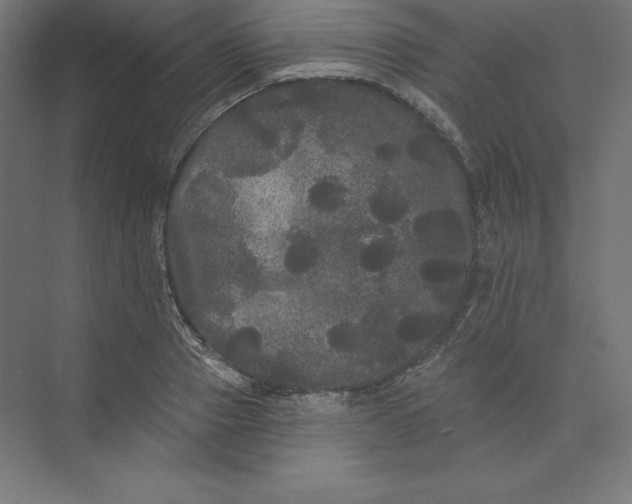 X0000074010937200609061046