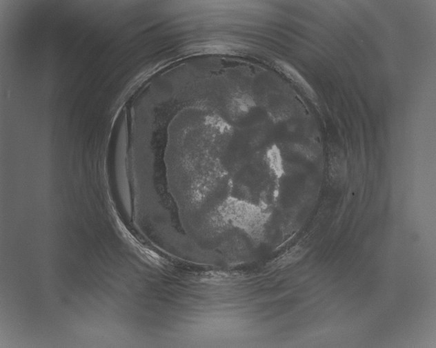 X0000074010938200609061046