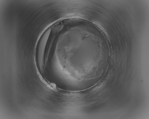 X0000074010941200609061046