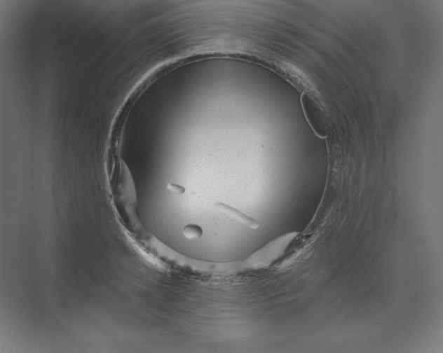 X0000074010942200609061046