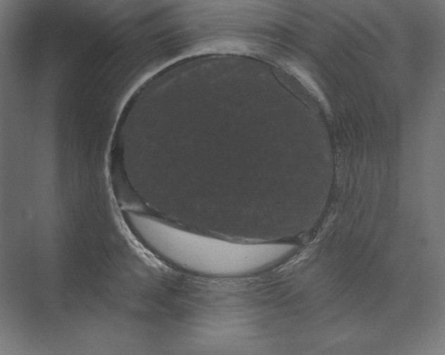 X0000074010944200609061046