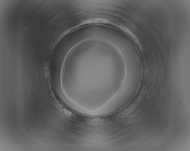 X0000074010945200609061046