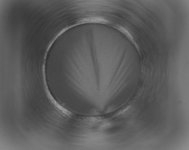 X0000074010947200609061046