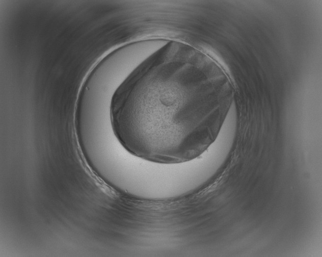 X0000074010948200609061046