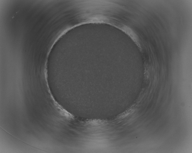 X0000074010950200609061046