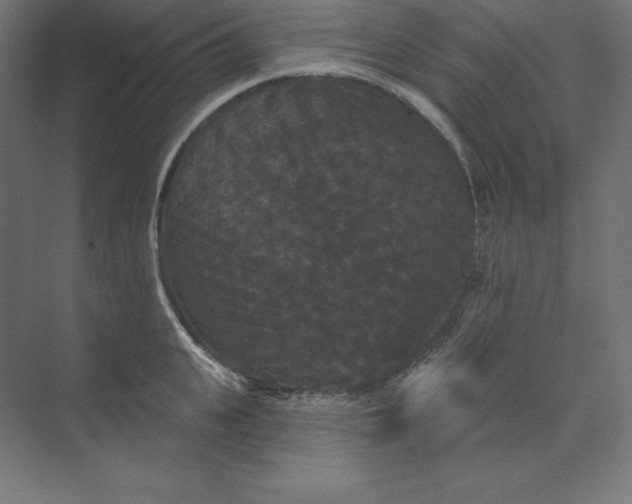 X0000074010951200609061046