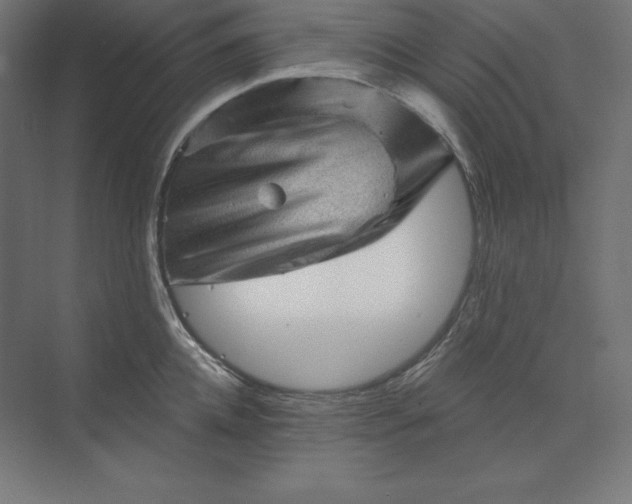 X0000074010952200609061046