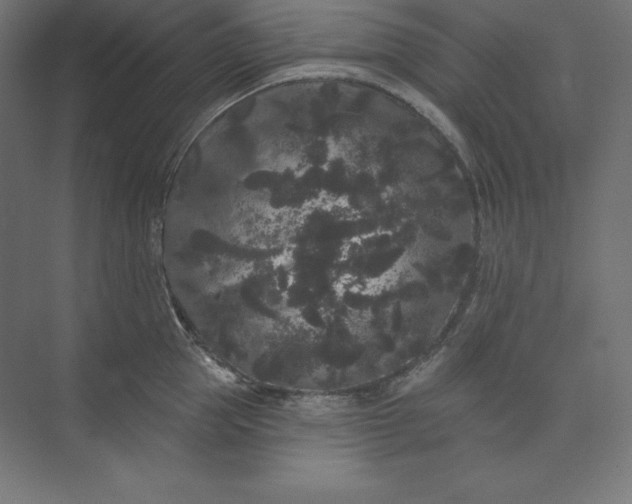 X0000074010953200609061046