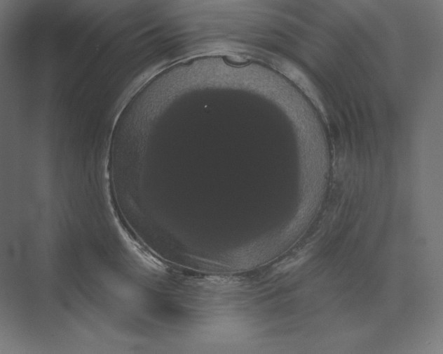 X0000074010954200609061046