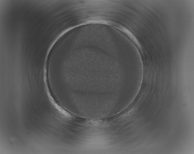 X0000074010955200609061046