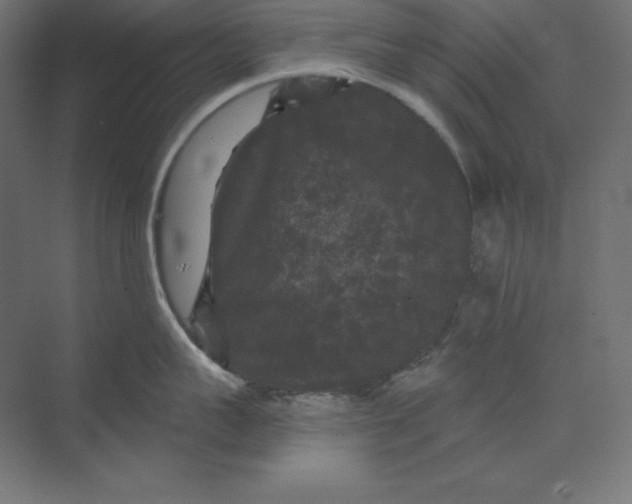 X0000074010959200609061046