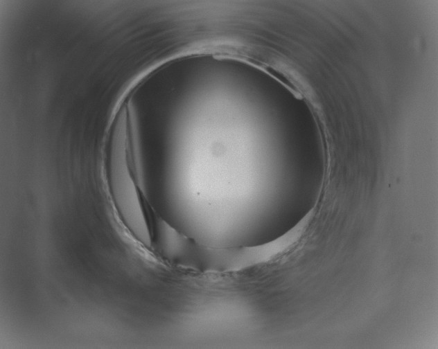 X0000074010960200609061046