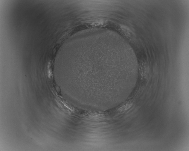 X0000074010962200609061045