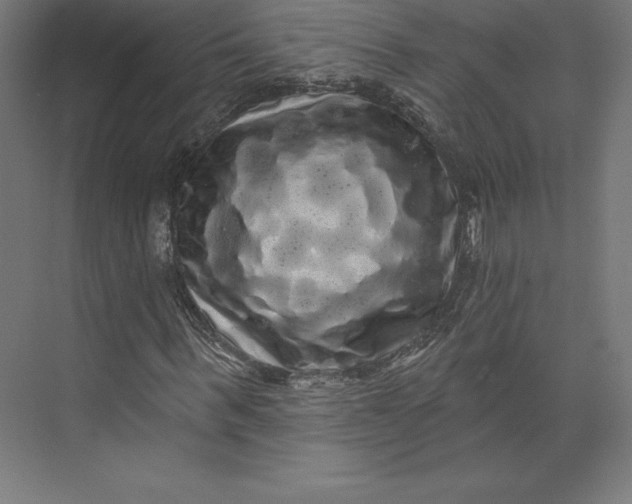 X0000074010963200609061045