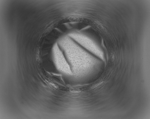 X0000074010964200609061045