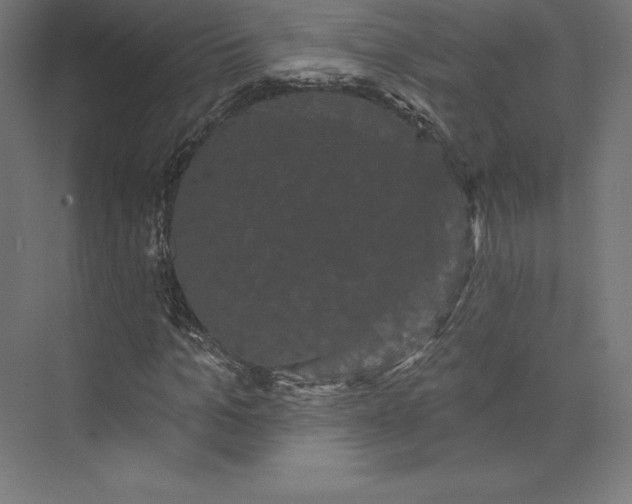 X0000074010965200609061045