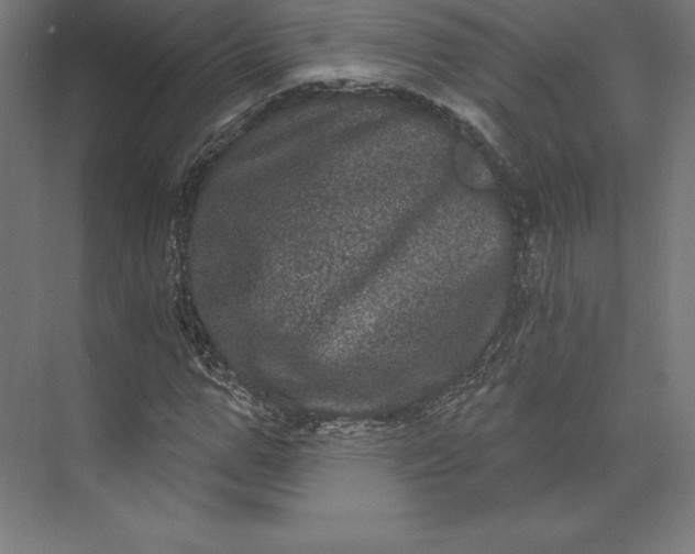 X0000074010967200609061045