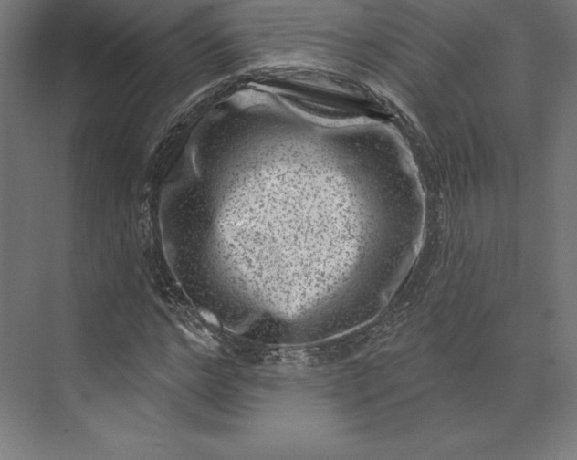 X0000074010968200609061045