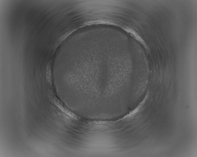 X0000074010969200609061045