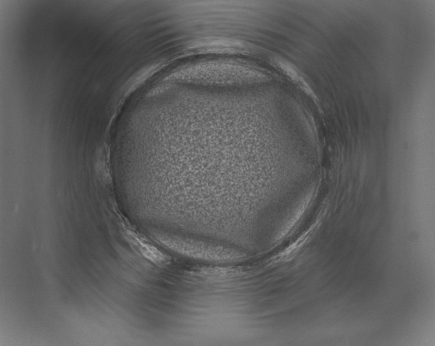 X0000074010970200609061045