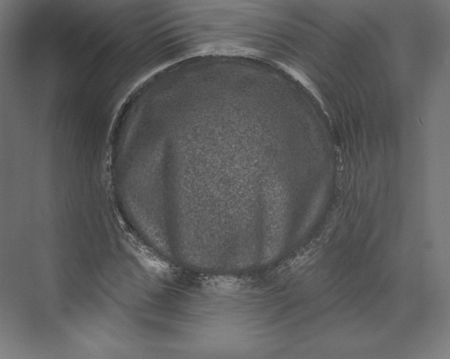 X0000074010971200609061045