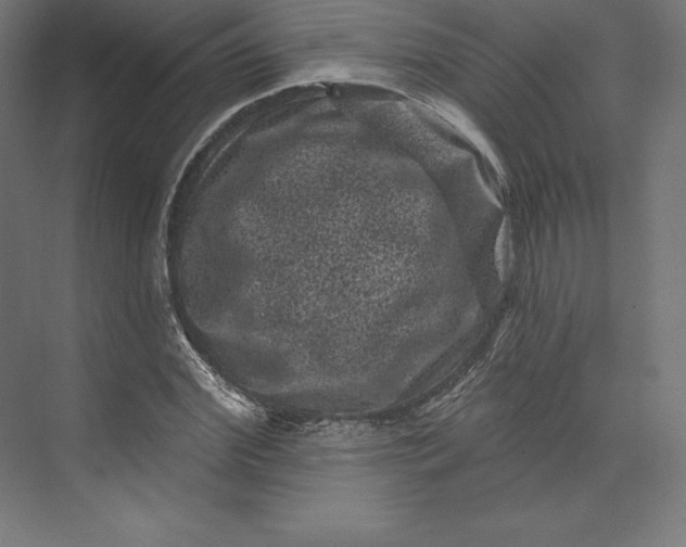 X0000074010972200609061045