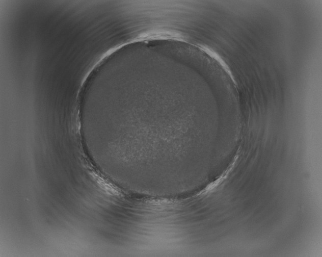 X0000074010973200609061045